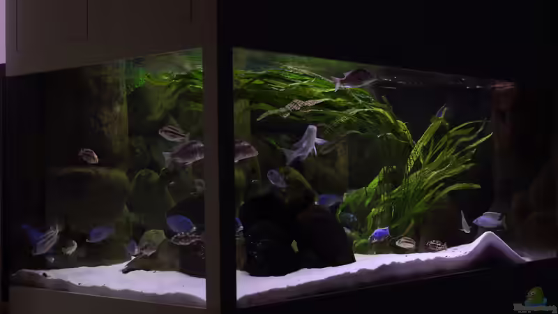 Aktualisierung 29.05.2013 von Klaus Lischka (12)