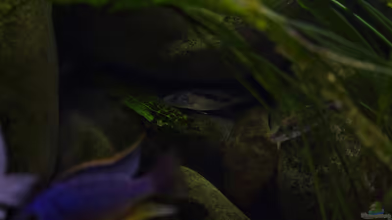 Aktualisierung 29.05.2013 von Klaus Lischka (20)