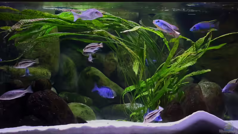 Aktualisierung 29.05.2013 von Klaus Lischka (27)