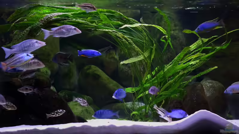 Aktualisierung 29.05.2013 von Klaus Lischka (28)