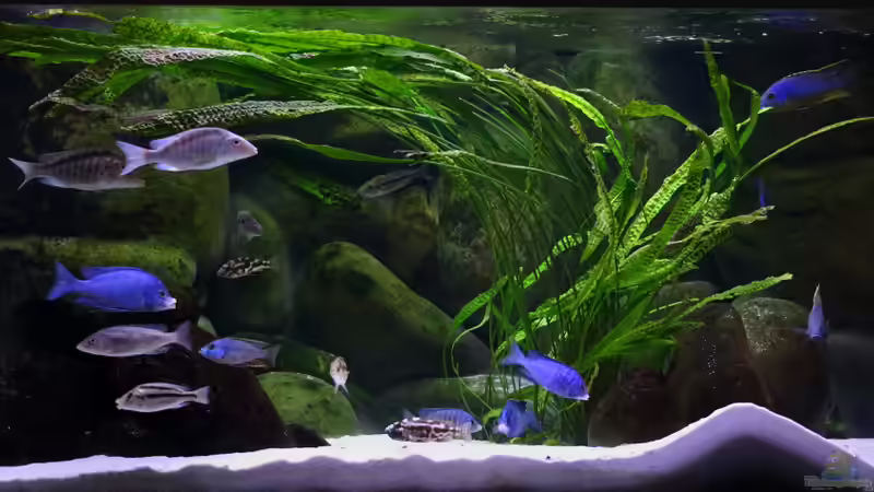 Aktualisierung 29.05.2013 von Klaus Lischka (29)