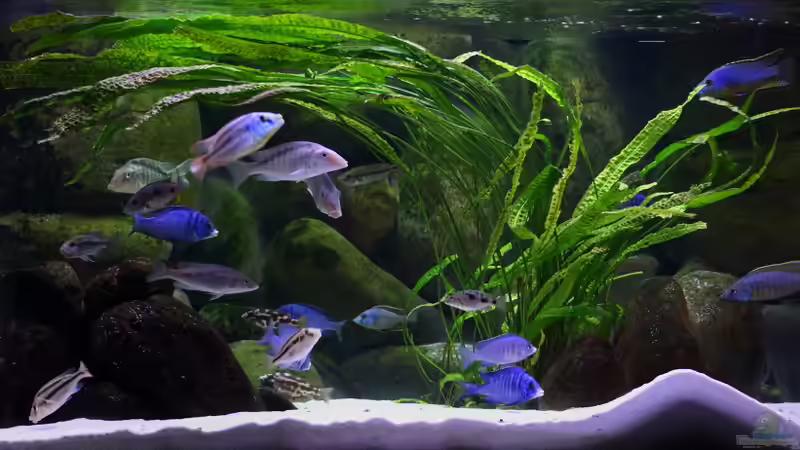 Aktualisierung 29.05.2013 von Klaus Lischka (30)