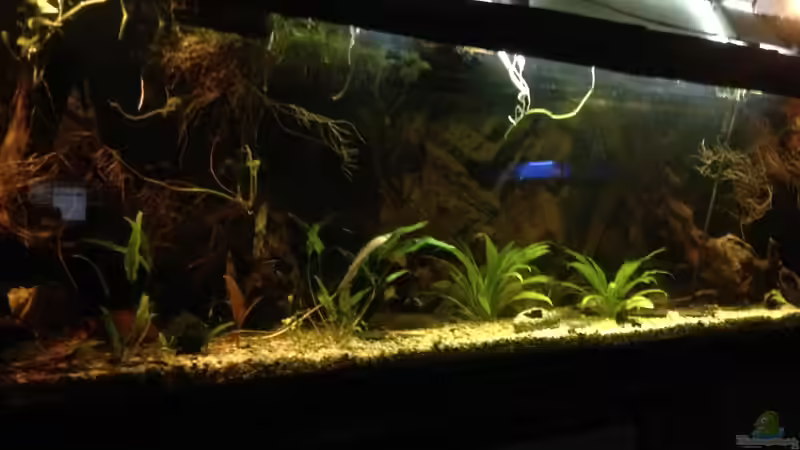 Aktuel 12.2016 / 17 von Lars Ascher (2)