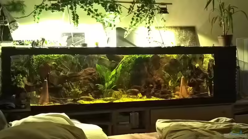 Aktuele - Hauptansicht - 900 l - 2,50 m x 0,60 m X 0,60 m von Lars 300l 1. (1)