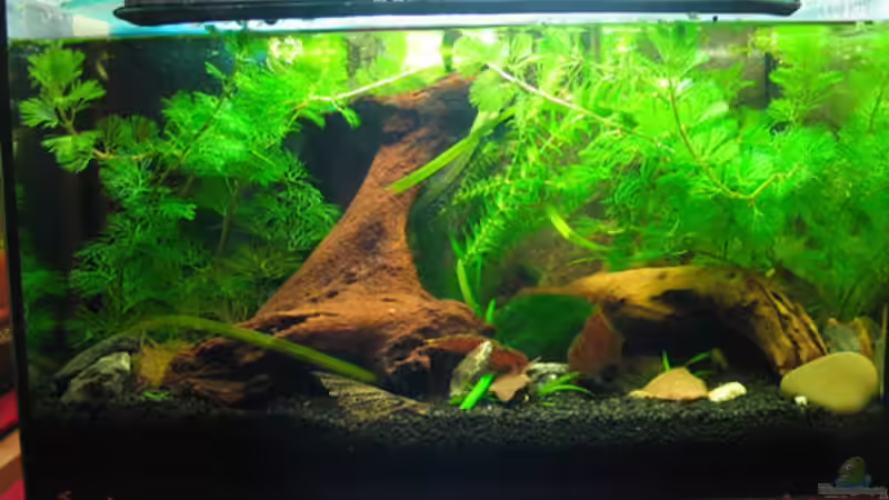 aktuell - Oktober 2007 von spree (3)