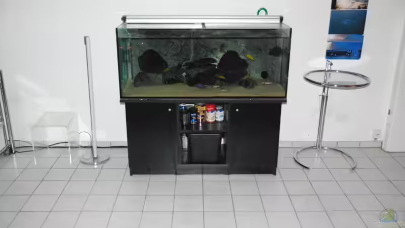 Aktuell  von Ayahuasca (3)