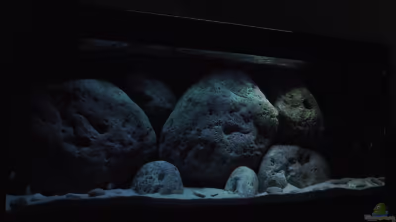 Aktuell  von MichaB (3)