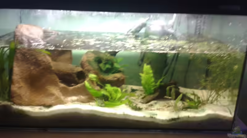 aktuell  von Snow-white89 (2)