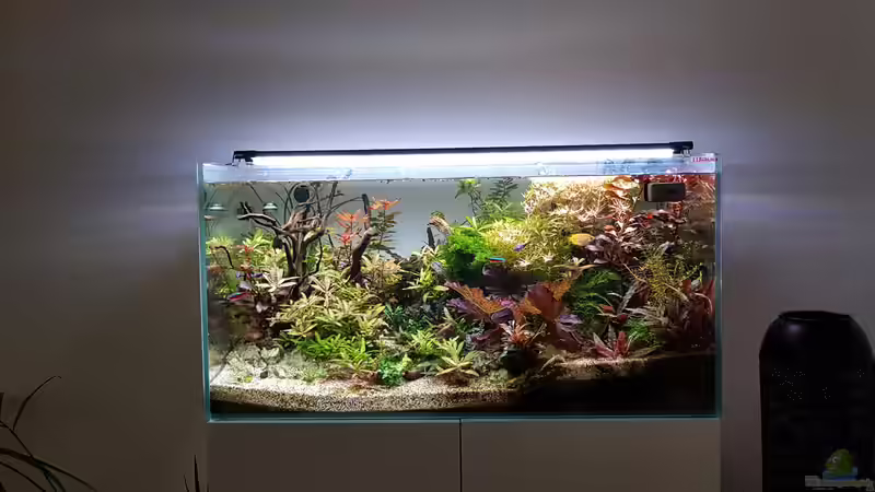 Aktuell 10.02.2019 von Livia & Marc (1)