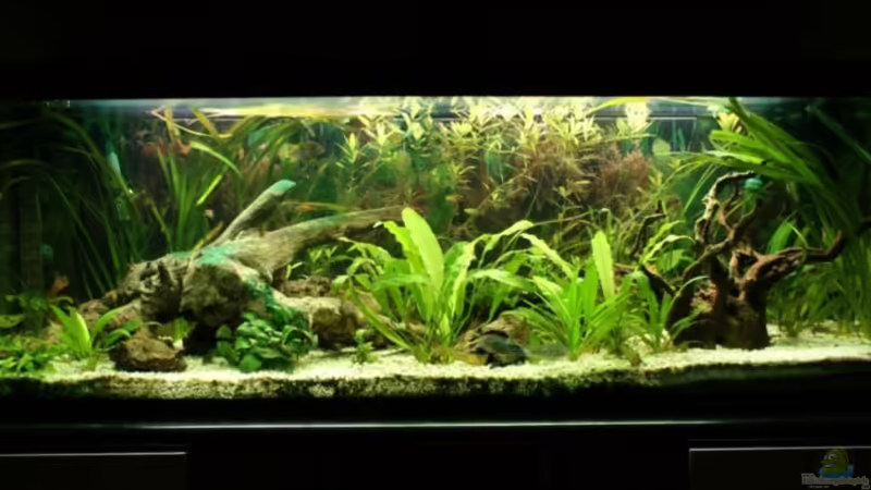 aktuell 16.09.2010 von Bastian & Sandra (1)