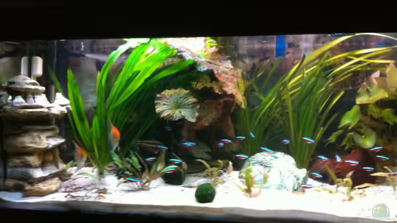 aktuell nach umbau von Matze M. (3)