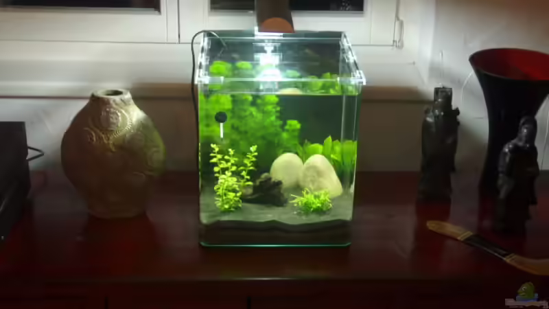 Aktuell sieht es so aus von Jakobi (5)