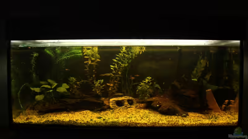 aktuell vom 27.01.12 von Sebastian Wolff (3)