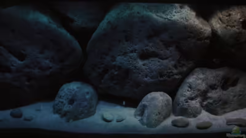 Aktuell von MichaB (6)