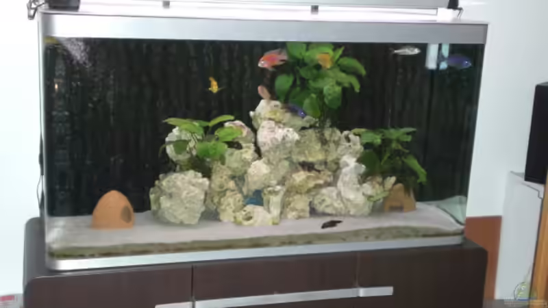 Aktuell von Mirco N. (9)