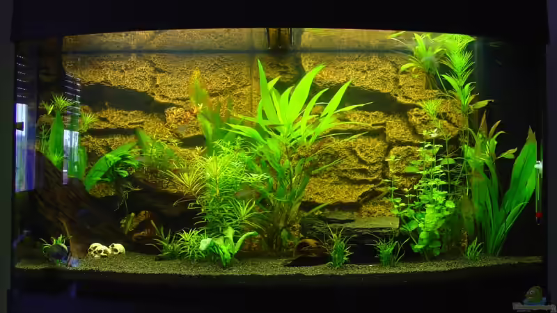 Aktuell von S3Racer (3)