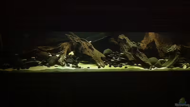 Aktuelle Ansicht 8.2.2012 von matthiasm (1)