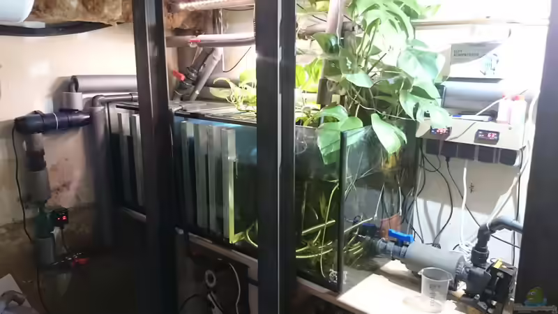 aktuelle Ansicht Filterbecken von kellerkind (22)