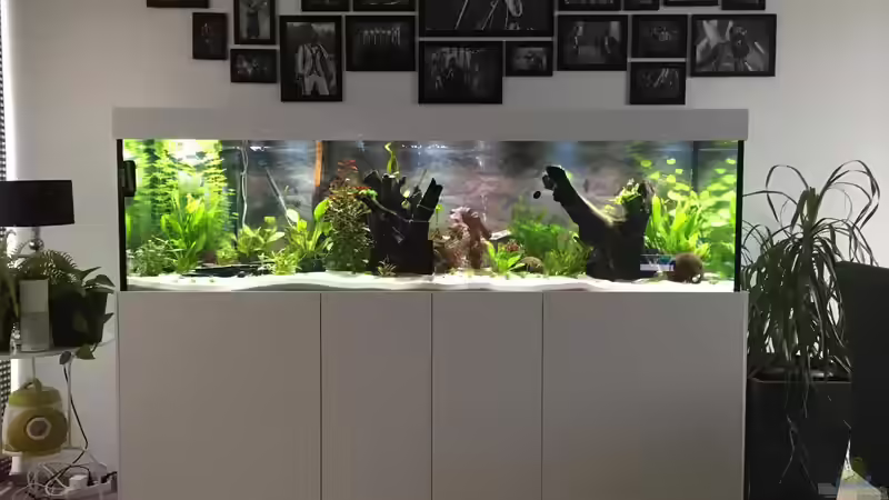 Aktuelle Ansicht von stroelly (5)