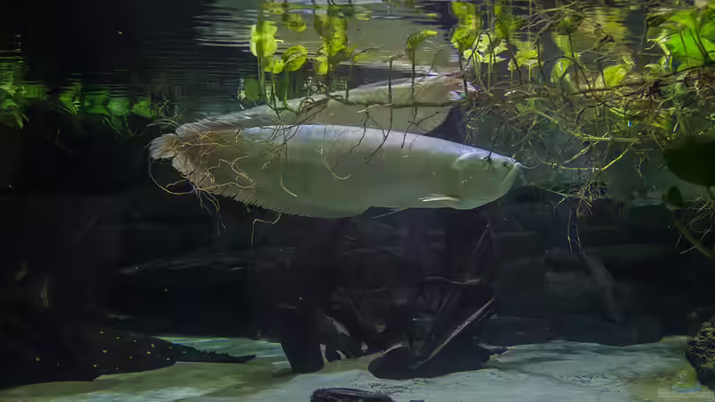 Aktuelle Bilder von Leopold68 (13)