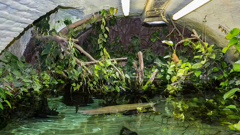 Aktuelle Bilder von Leopold68 (14)