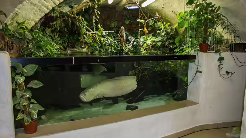 Aktuelle Bilder von Leopold68 (15)