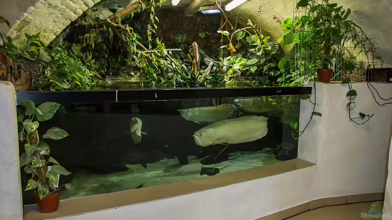 Aktuelle Bilder von Leopold68 (16)