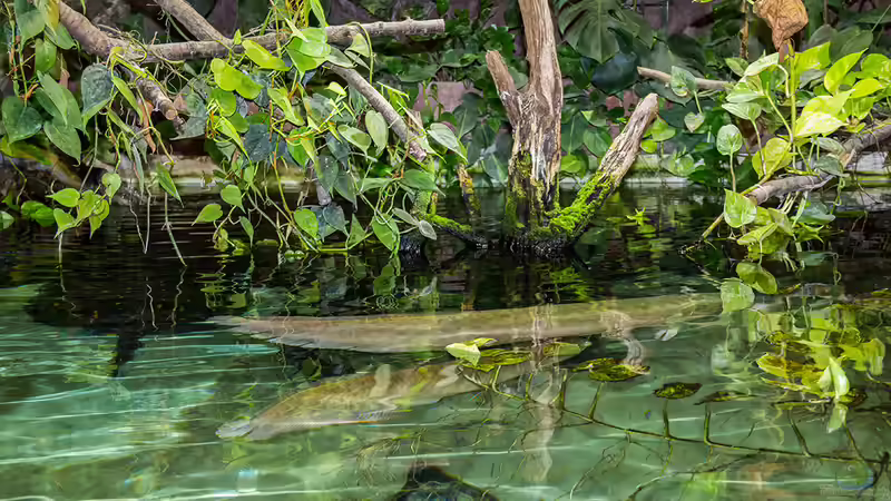 Aktuelle Bilder von Leopold68 (18)