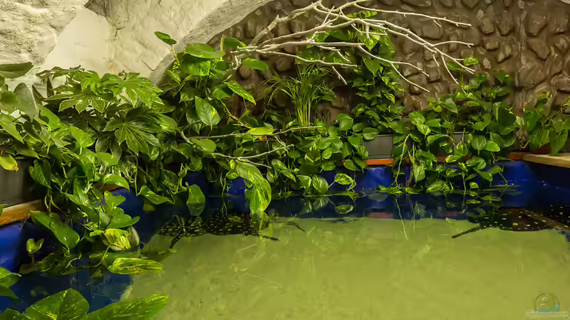 Aktuelle Bilder von Leopold68 (19)