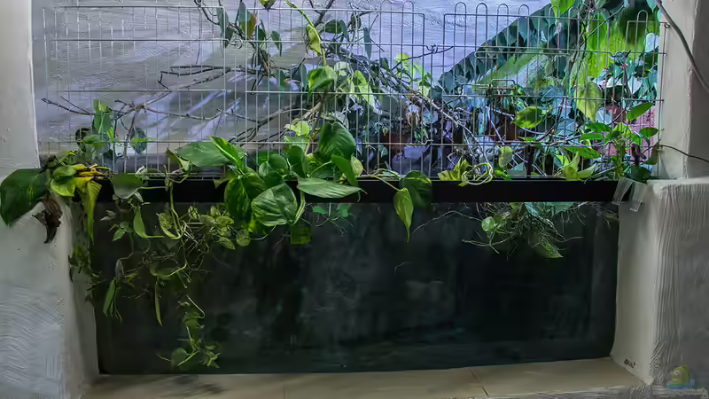 Aktuelle Bilder von Leopold68 (21)