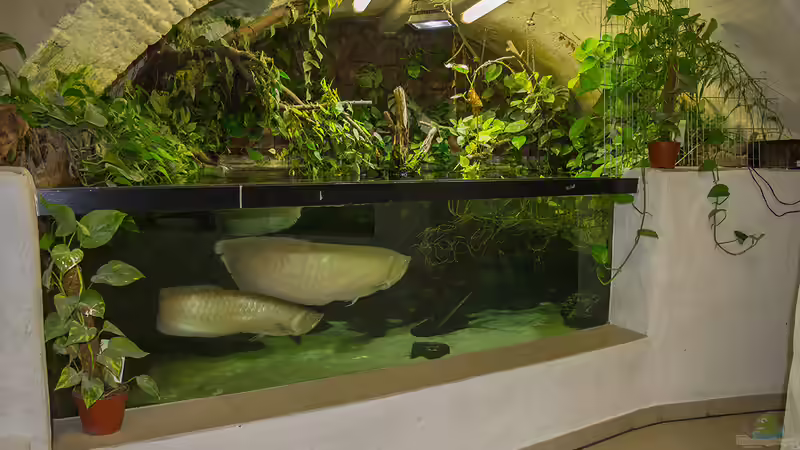 Aktuelle Bilder von Leopold68 (22)