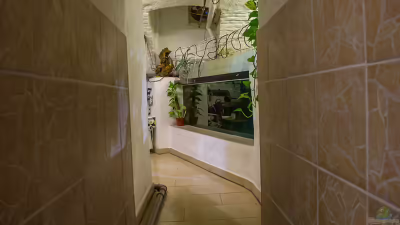 Aktuelle Bilder von Leopold68 (28)