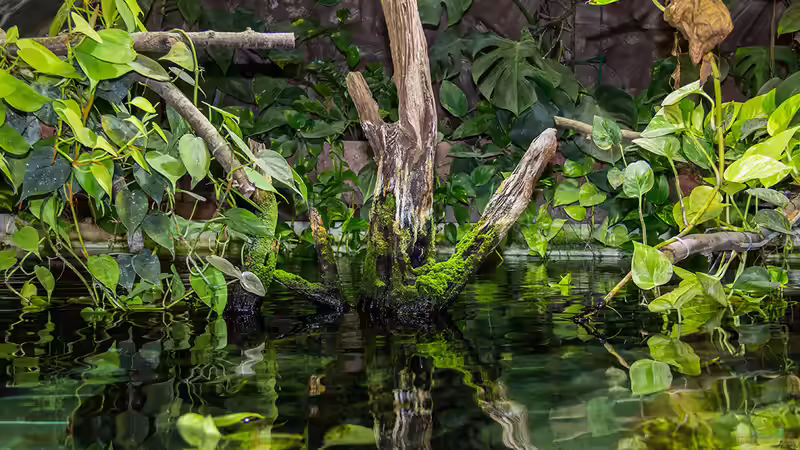 Aktuelle Bilder von Leopold68 (30)