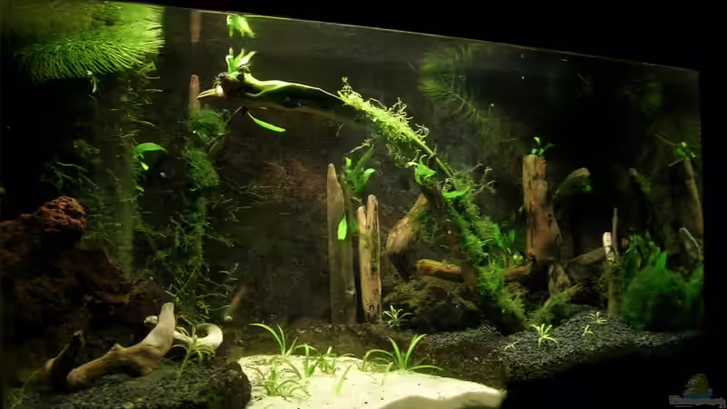 aktuelle Einrichtung von links von Der Analyst (6)