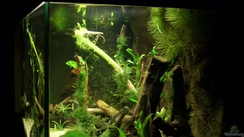 aktuelle Einrichtung von rechts von Der Analyst (7)