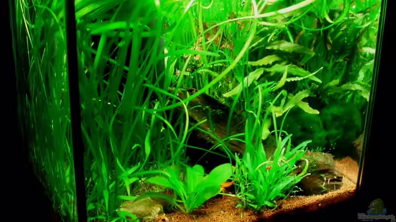 aktuelle Frontansicht 07.01.11 von ~Marco~ (1)