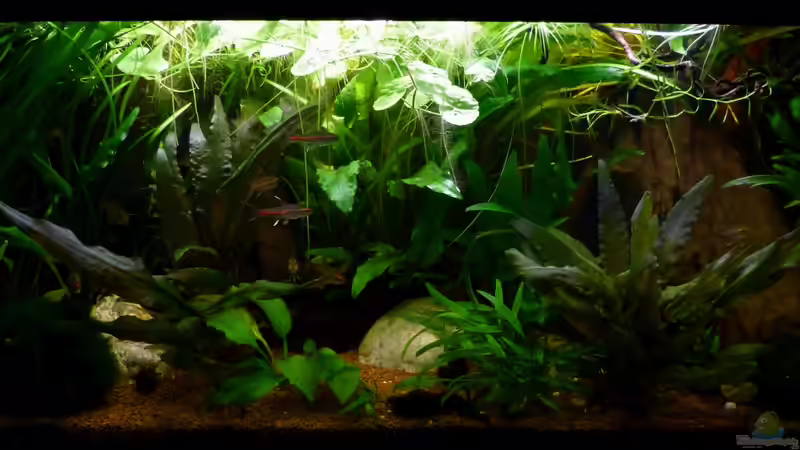 aktuelle Frontansicht 08.03.12 von ~Marco~ (1)