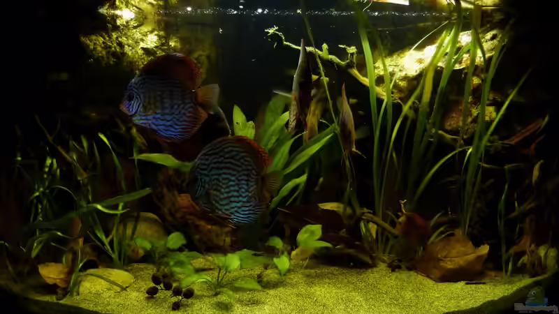 aktuelle Frontansicht 23.02.2013 von ~Marco~ (1)