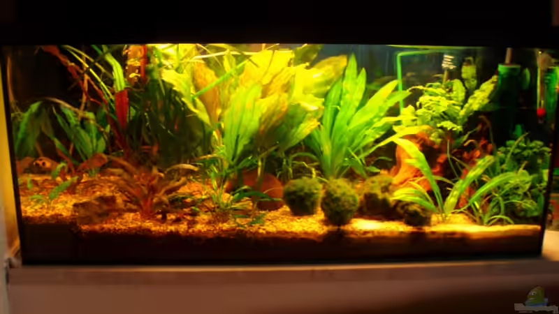 aktuelle Frontansicht 29.11.09 von ~Marco~ (9)