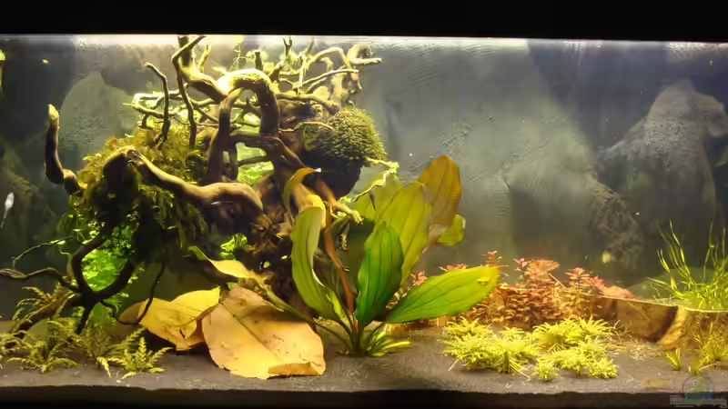 Aktuelle Frontansicht (Foto vom 07.10.13) von Christian Heitmann (8)