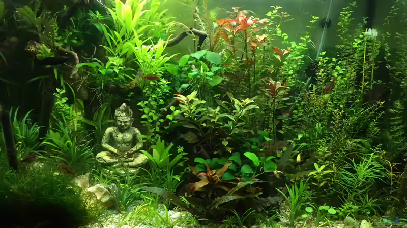 Aktuelle Frontansicht von Christian Bernreiter (13)