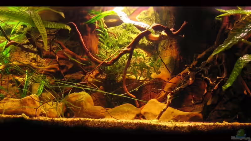 Aktuelle Gesamtansicht 10.05.12