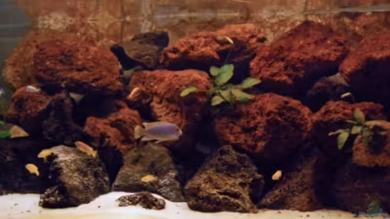 Aktuelle Gesamtansicht von Angelundercover (2)