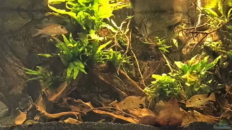 Aktuelle Gesamtansicht von Jonas B. (3)