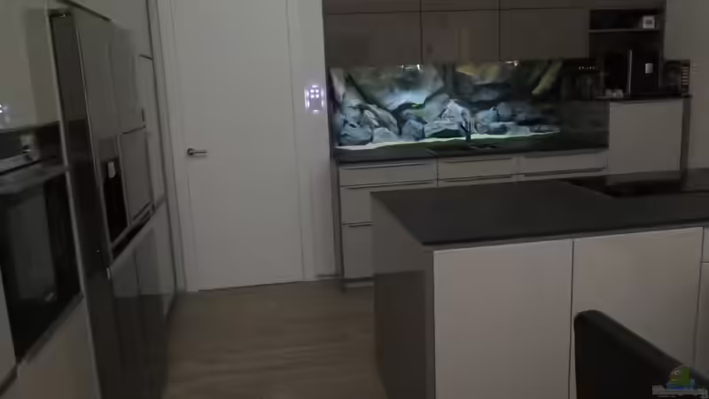 aktuelle Komplettansicht von Nina Hutter (10)