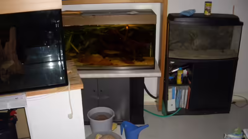 aktuelle Situation (06.11.09) von Knorpelfisch (3)