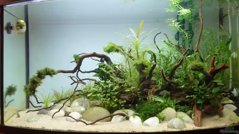 Aktueller Stand 04.01.2014 von Martin W. (13)