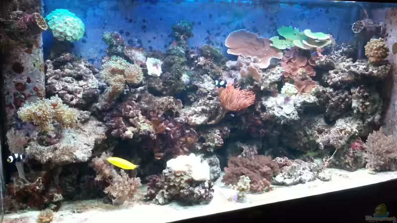 Aktueller Stand 18.11.2012 von Thorsten John (8)