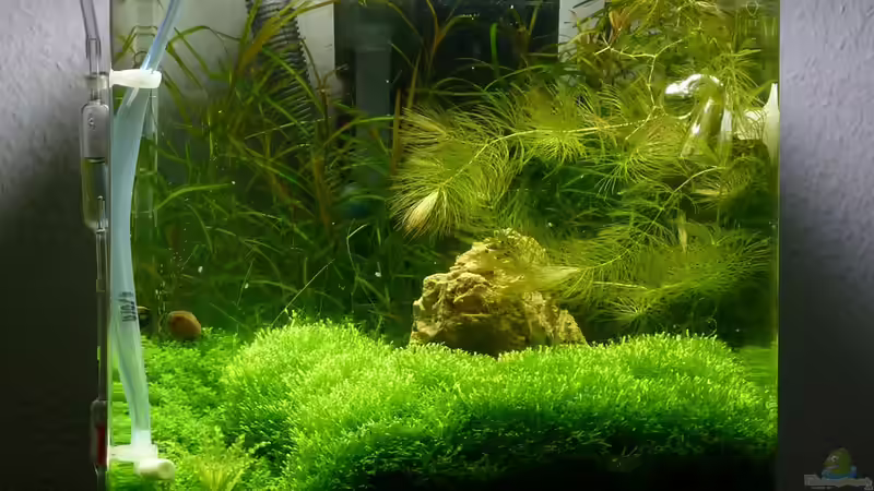 Aktueller Stand 21.11.10