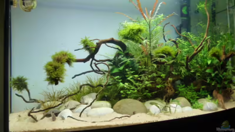 Aktueller Stand 29.01.2014 von Martin W. (7)